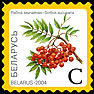 File:2004. Stamp of Belarus 0556.jpg