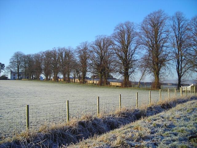 File:Avenue Leading to Rigghead - geograph.org.uk - 638712.jpg