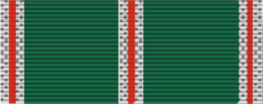 File:Bangladesh Rifles Medal (Conspicuous Gallantry) Ribbon.jpg