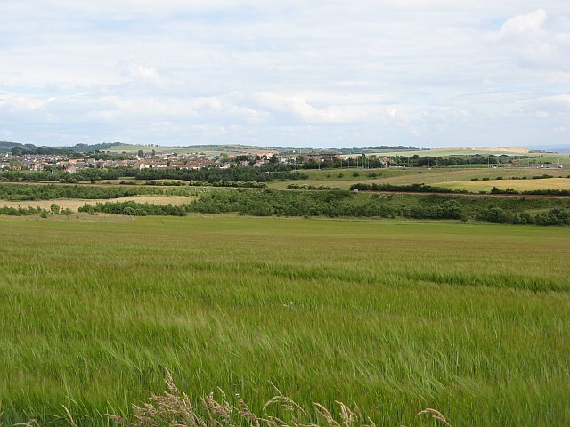 File:Barley field, Keirsbeath - geograph.org.uk - 1385531.jpg