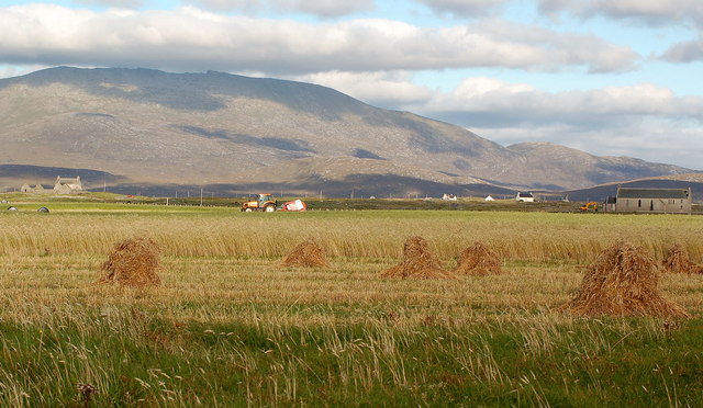 File:Bornish machair - geograph.org.uk - 242616.jpg