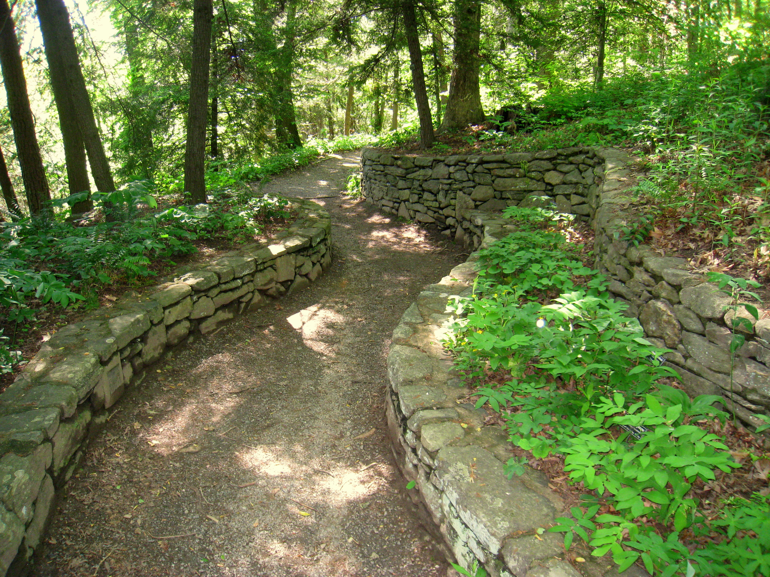 File Botanical Gardens At Asheville Path Jpg Wikimedia Commons