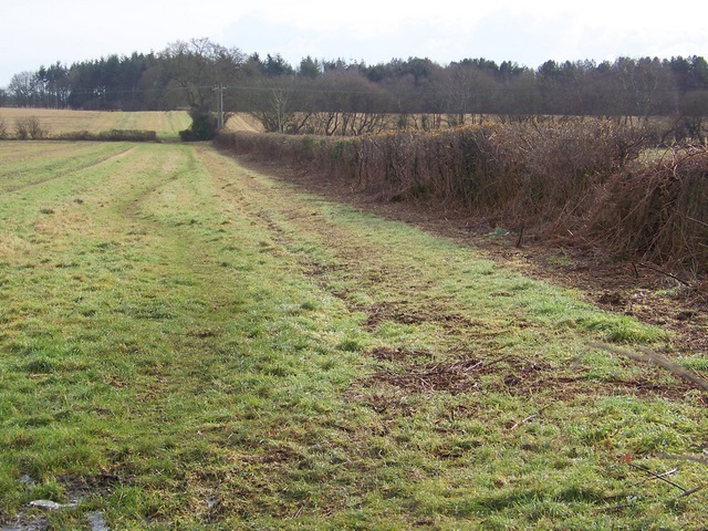 File:Bridleway near Slepe - geograph.org.uk - 1692288.jpg