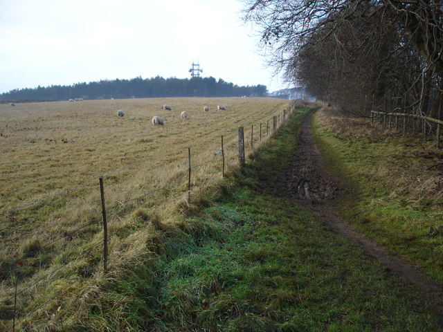 File:Bridleway on Bredon Hill - geograph.org.uk - 297324.jpg