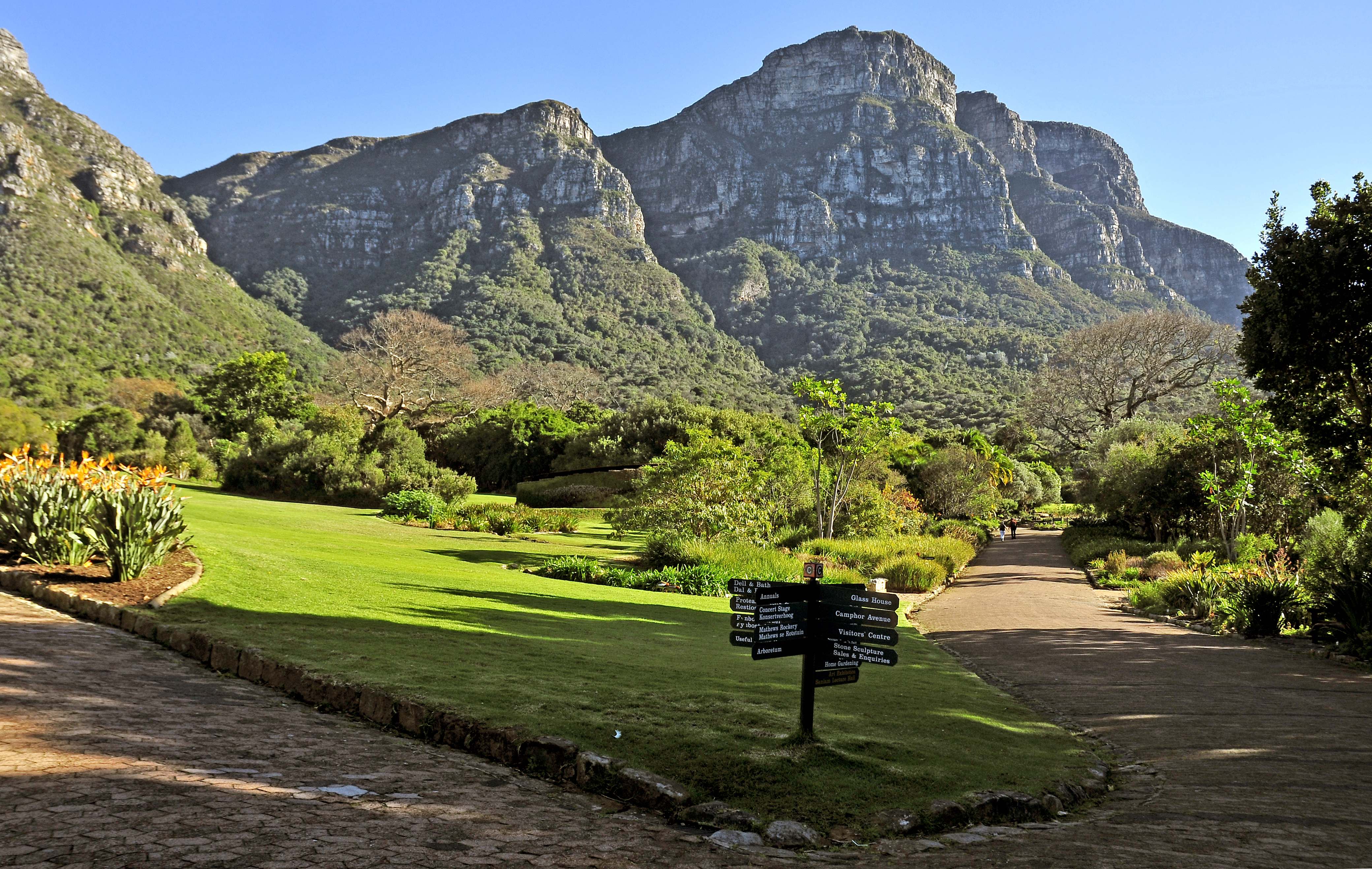 Кирстенбошский национальный Ботанический сад ЮАР