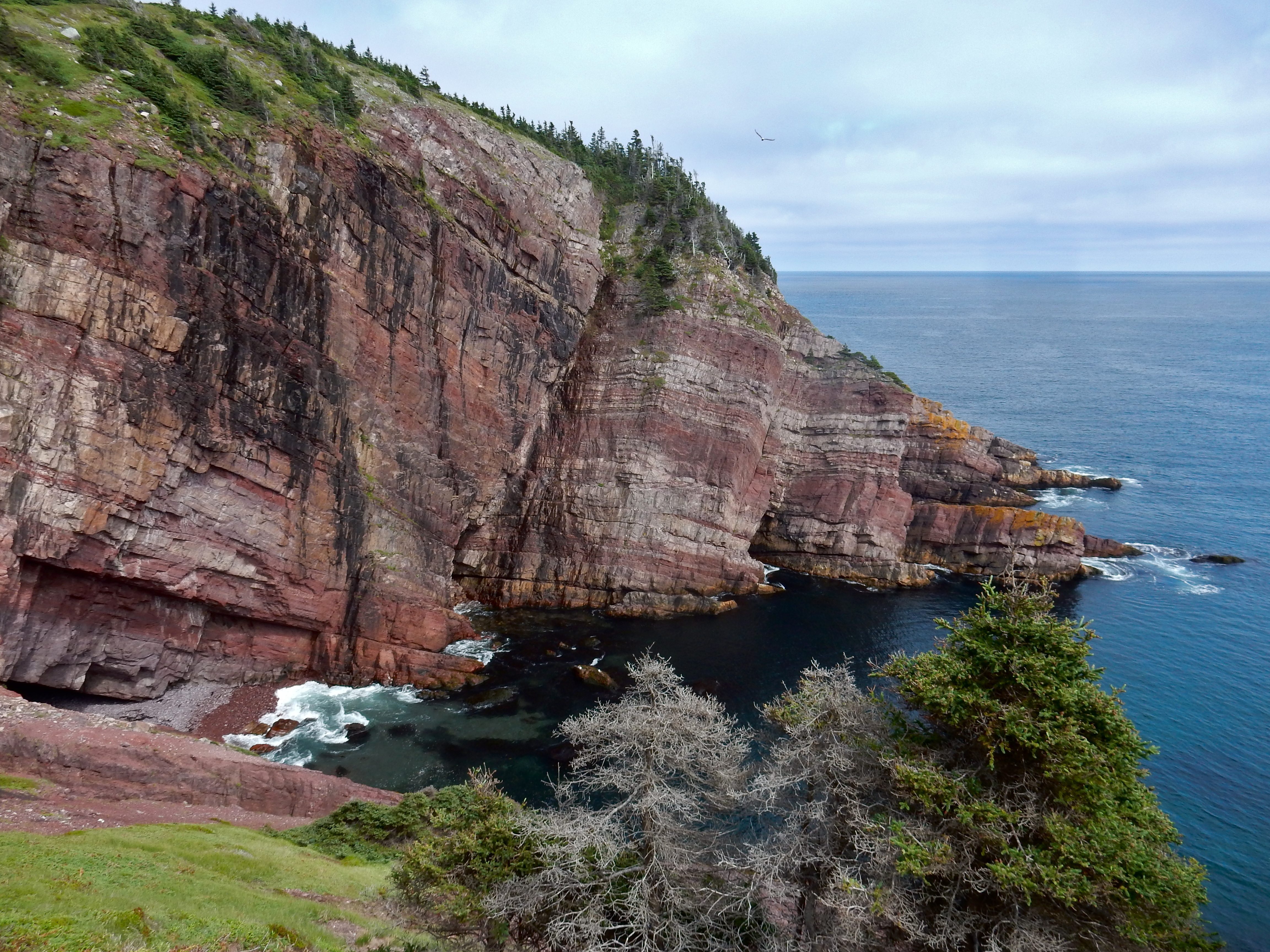 Eastern coast. Полуостров Авалон.