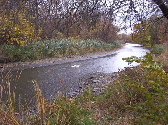 File:Ecorse River.jpg