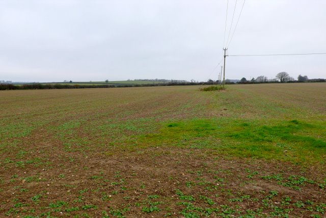 File:Field near Sturminster Marshall - geograph.org.uk - 1061153.jpg