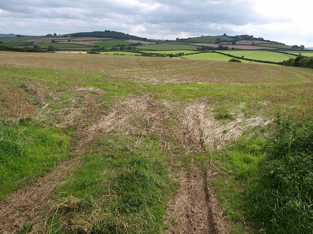 File:Field near Venn - geograph.org.uk - 944773.jpg