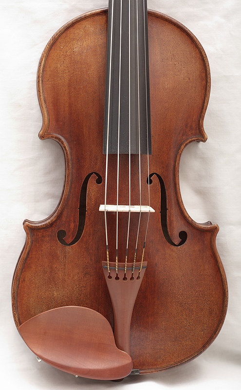 Five String Violin Wikiwand Teachers / instructors may want a violin and viola on hand to play certain passages for their students. five string violin wikiwand