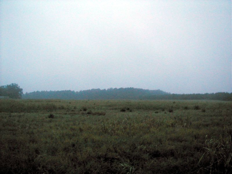 File:Fogfield2.jpg