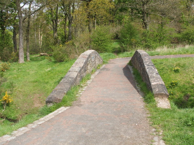 Footbridge in Cathkin Braes Country Park - geograph.org.uk - 948639