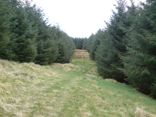 File:A small hillock with a cairn - geograph.org.uk - 2549337.jpg