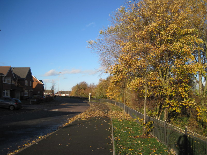 File:Holly Bank Avenue, Summerhill Park - geograph.org.uk - 5985674.jpg