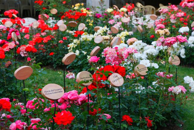 File:Jardin de rosas.jpg - Wikimedia Commons