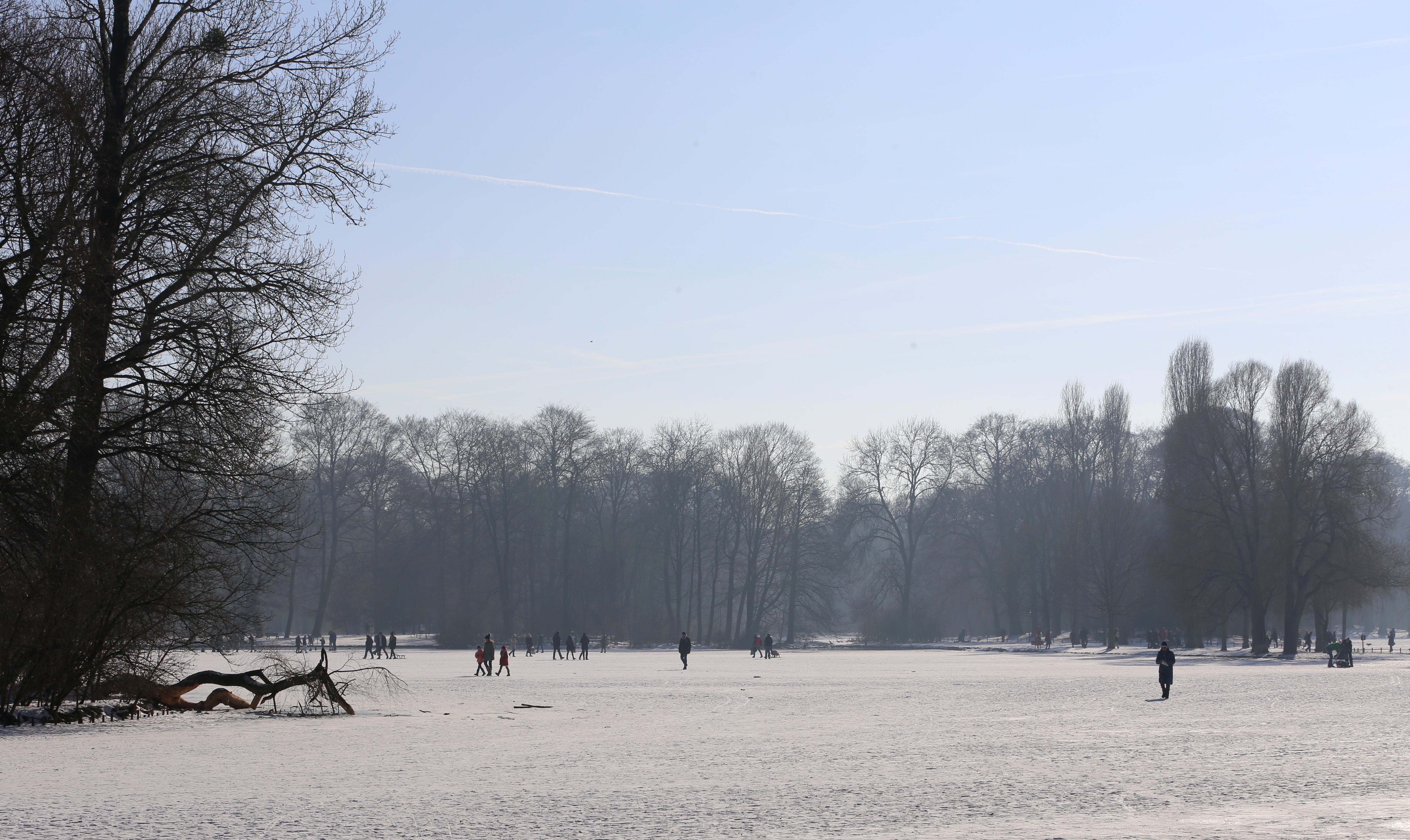 File Kleinhesseloher See Winter Englischer Garten Muenchen 5 Jpg