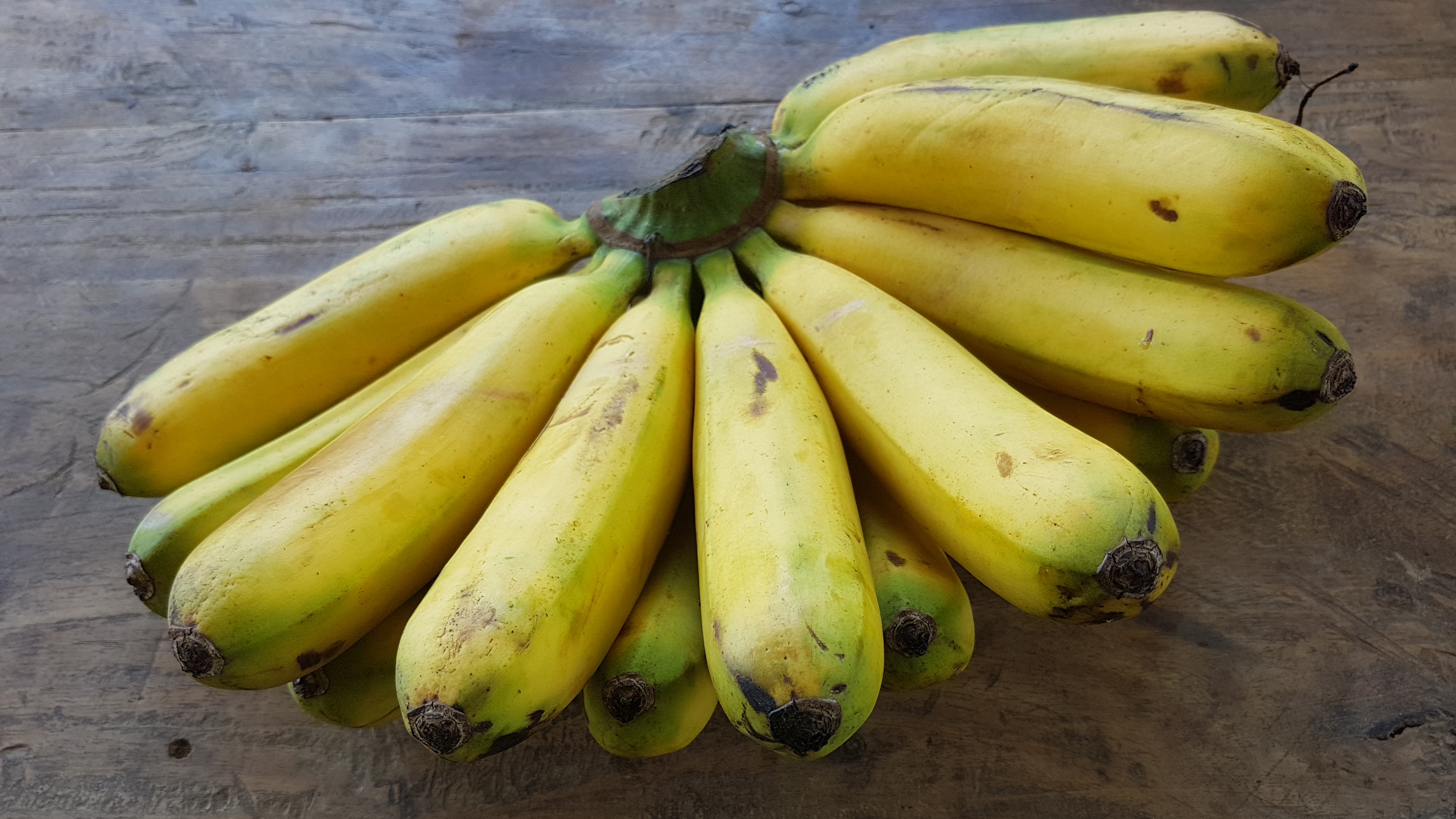 Banana bunch