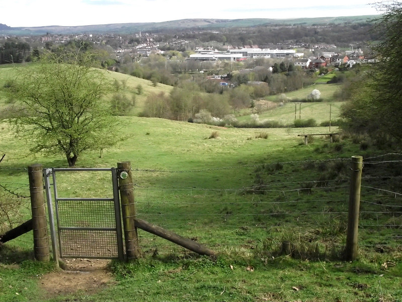 Leaving the woods - geograph.org.uk - 2348696