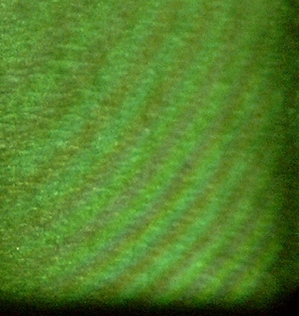 File:Michelson interference mercury.jpg