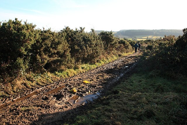 Muddy Lane - geograph.org.uk - 1145933