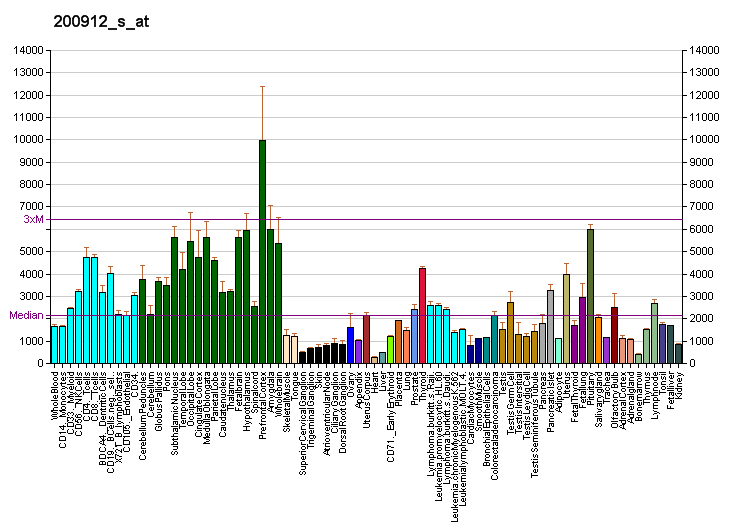 File:PBB GE EIF4A2 200912 s at fs.png