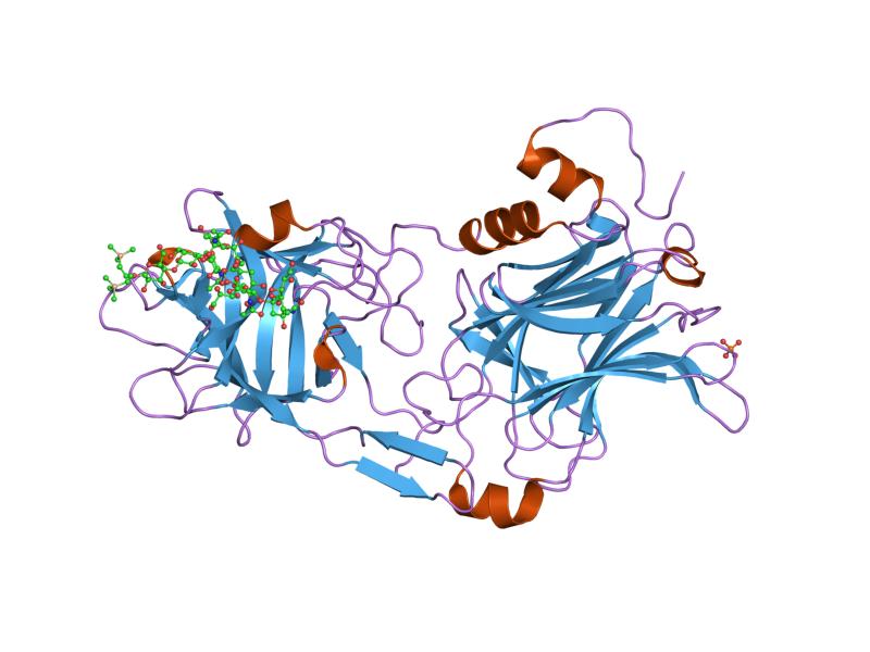 File:PDB 1fv2 EBI.jpg