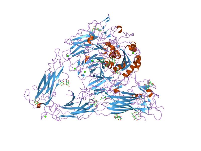 Integrin-avatar