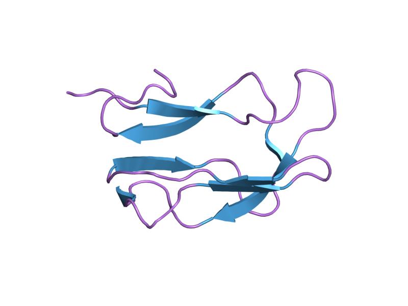 File:PDB 1k8m EBI.jpg