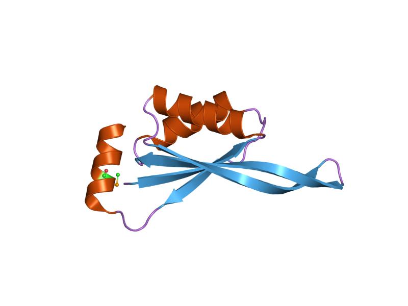 PDB 1vhf EBI