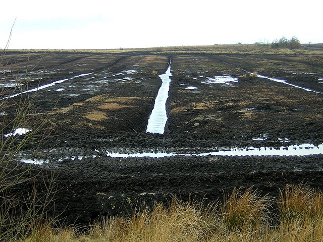 File:Peat Workings Near Longriggend - geograph.org.uk - 146236.jpg