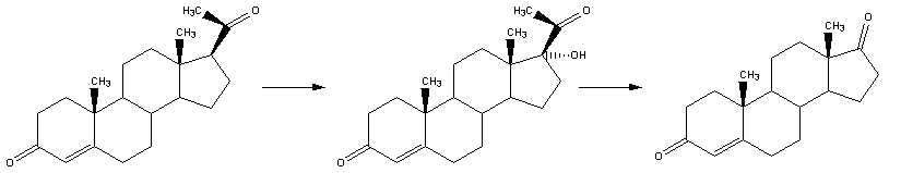 Reaction-Progesterone-Androstendione.png