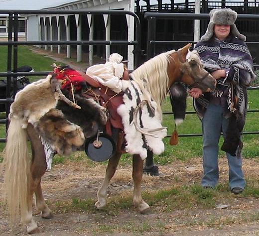 File:Shetlandponyinfurtradercostume.JPG