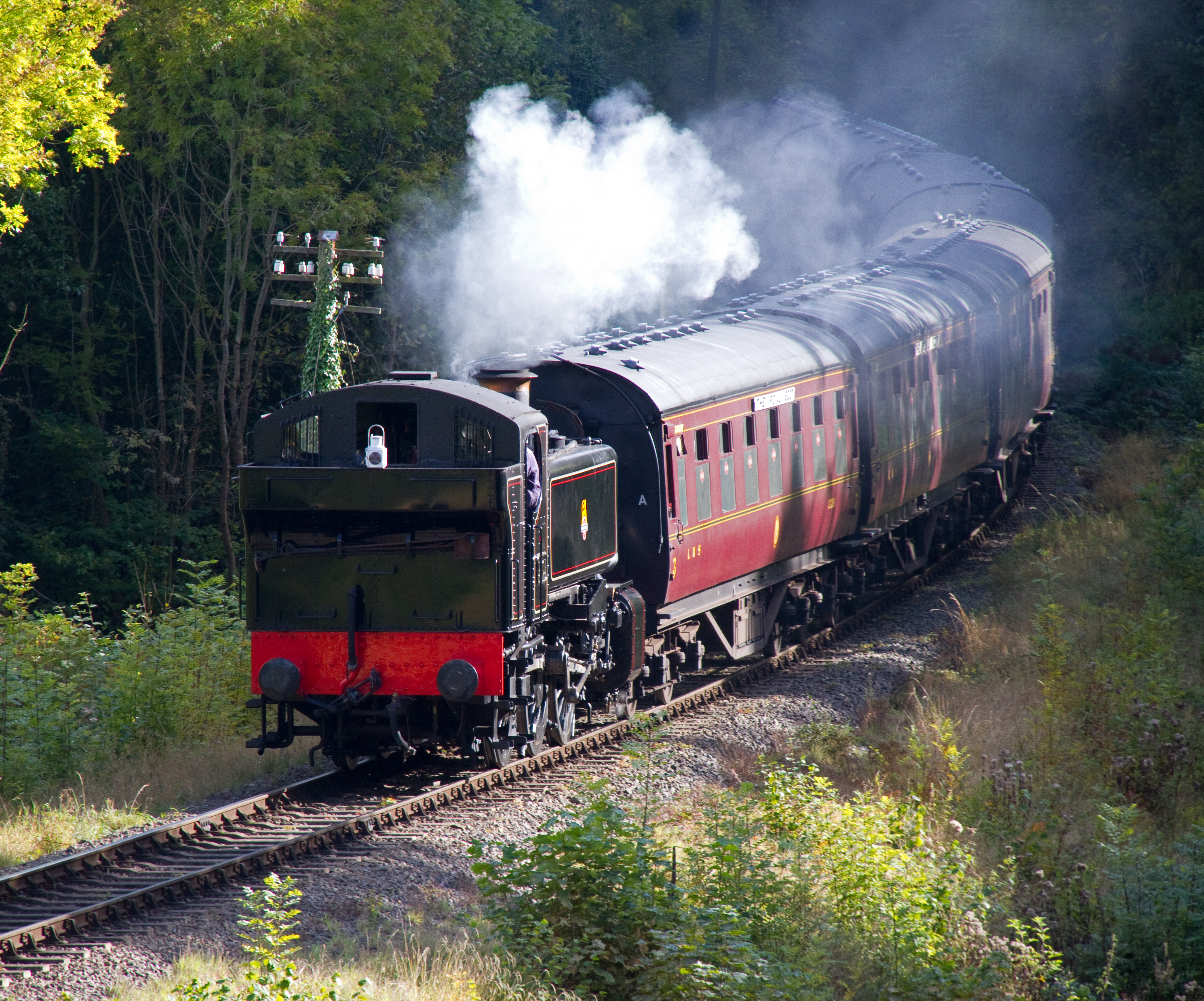 Steam train перевод на русский фото 15