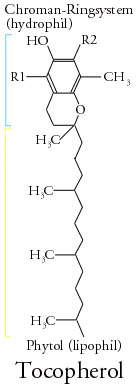 File:TocopherolX.png