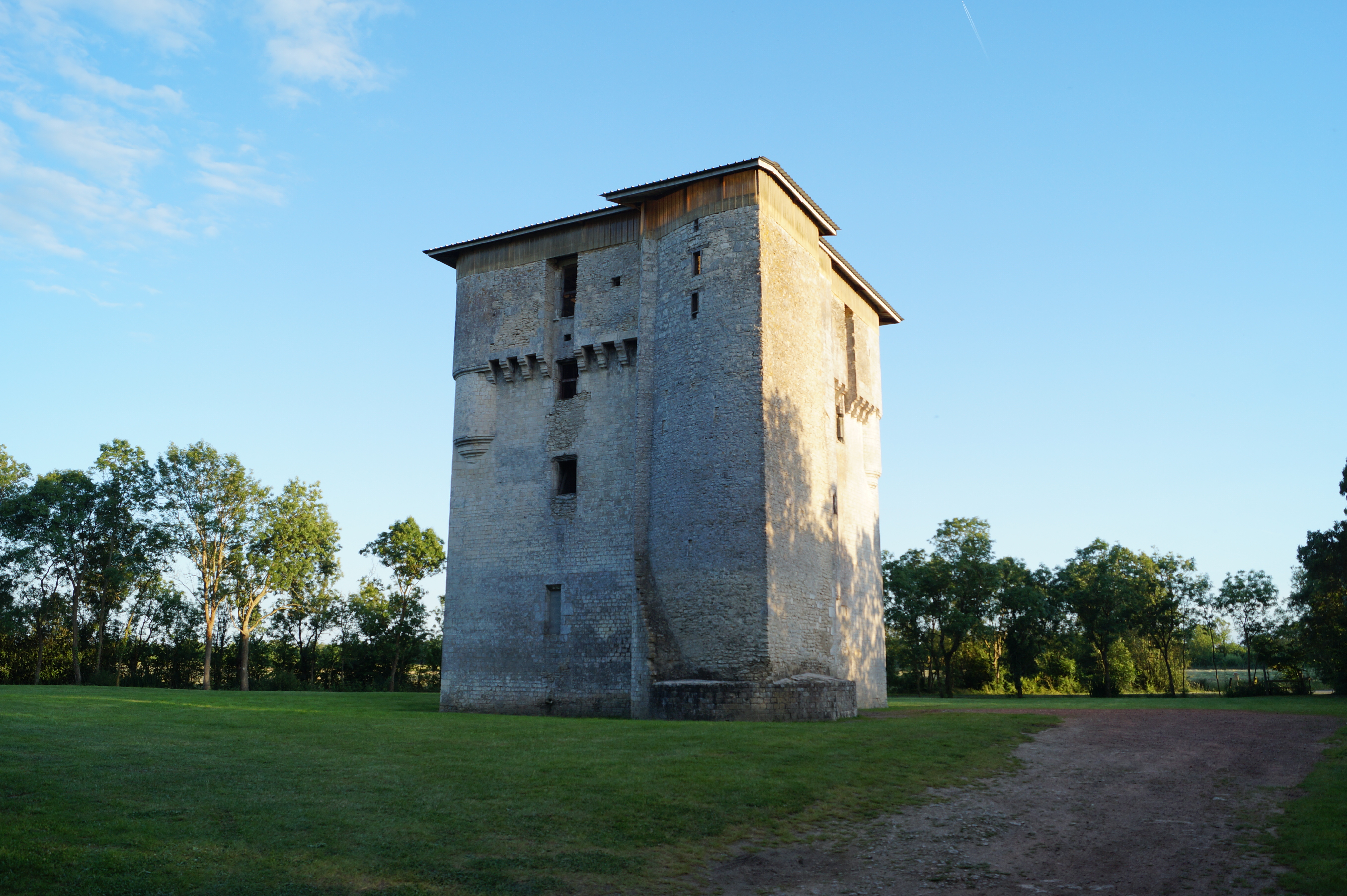 LA TOUR DE MORICQ  France Pays de la Loire Vendée Angles 85750