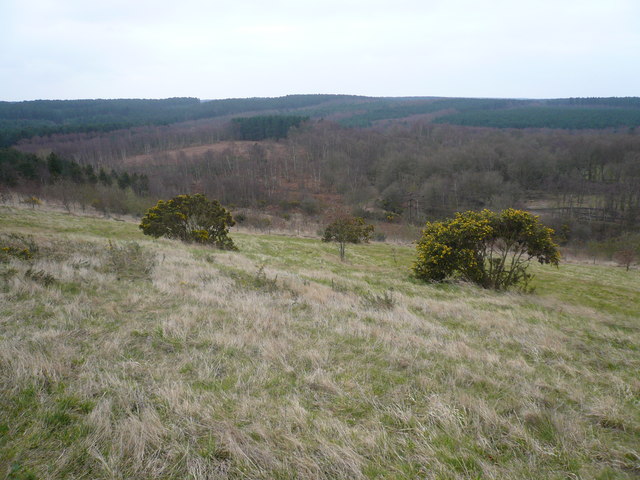 Vicar Water Country Park - Hill View - geograph.org.uk - 726226