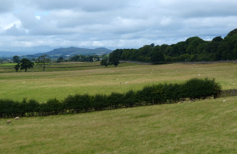 File:View north along Airedale - geograph.org.uk - 5333910.jpg