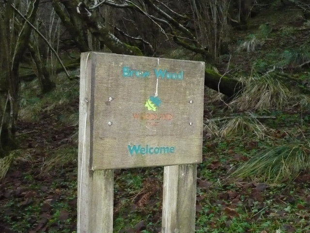 Woodland Trust sign at East Brow Wood - geograph.org.uk - 642453