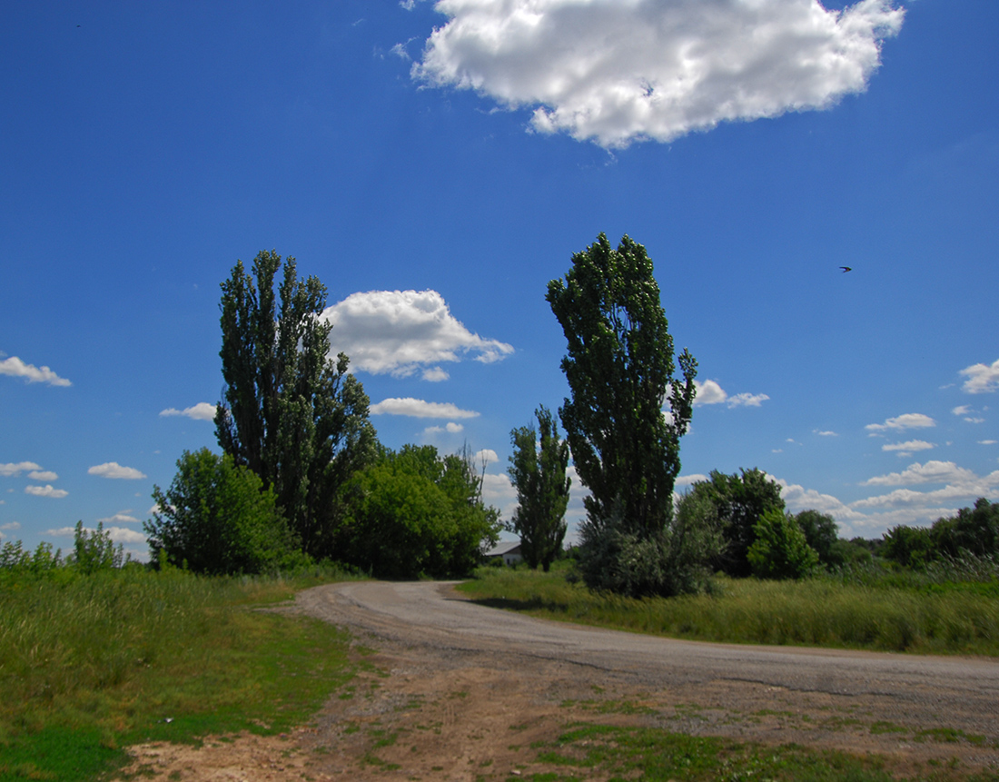 Средне донецк. Село придорожное. Село придорожное Луганская область.