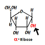 File:Absorption Coefficient.jpg