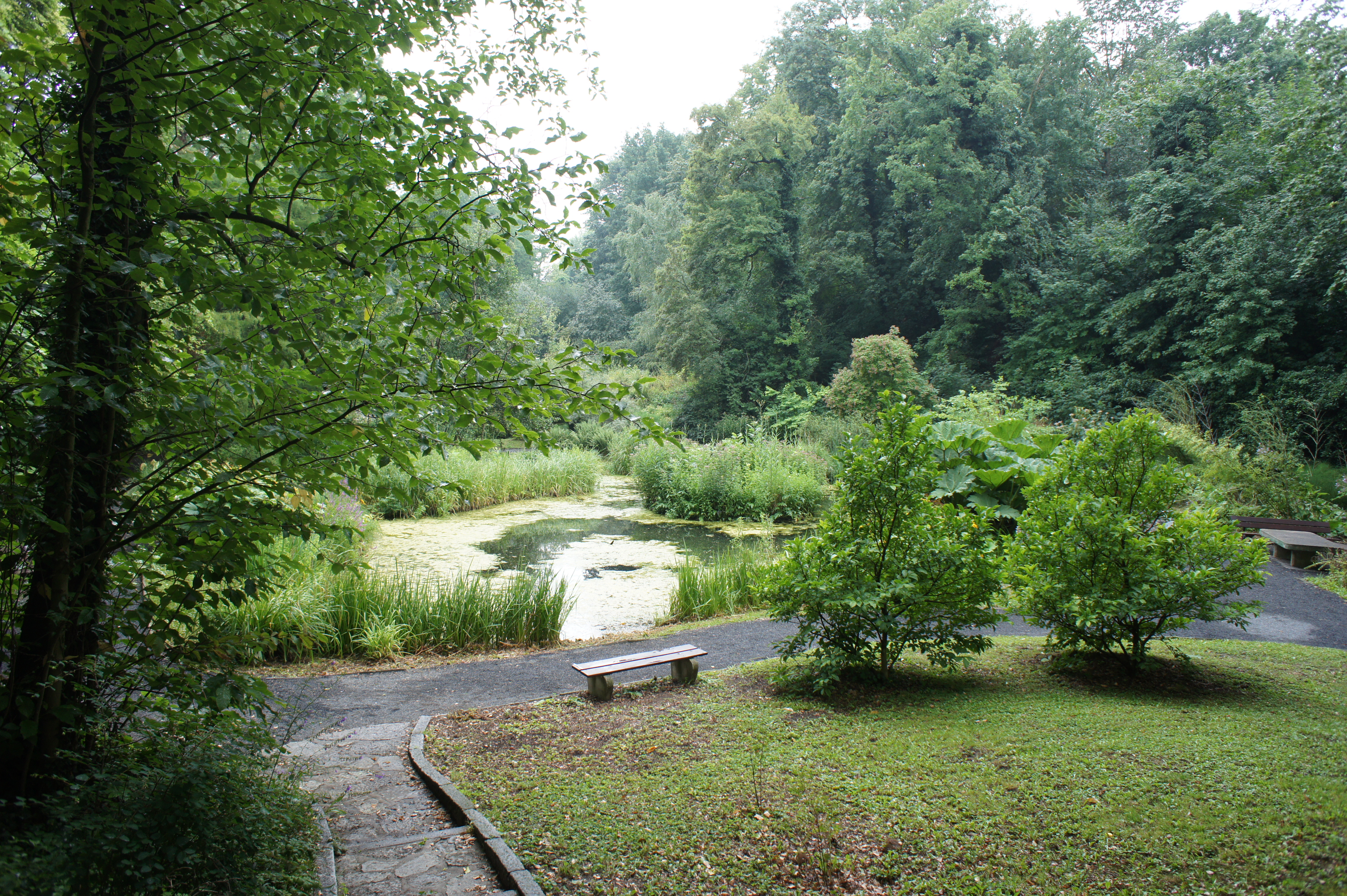 File Alter Botanischer Garten Der Universitat Gottingen 001 Jpg