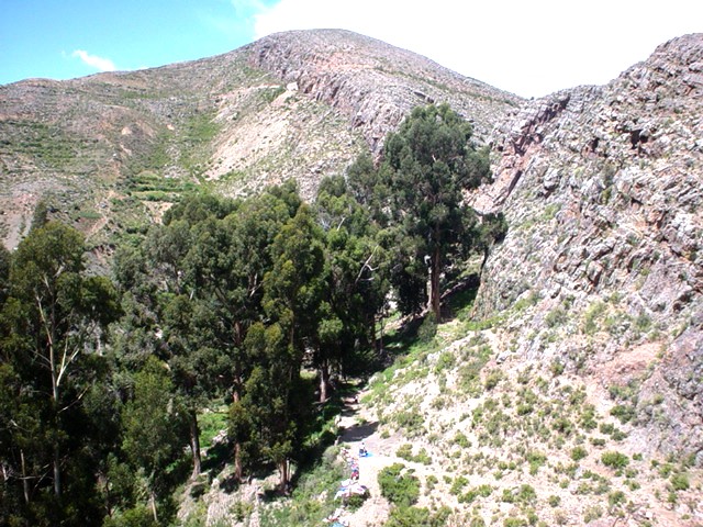 File:Arbolitos2007 097.jpg