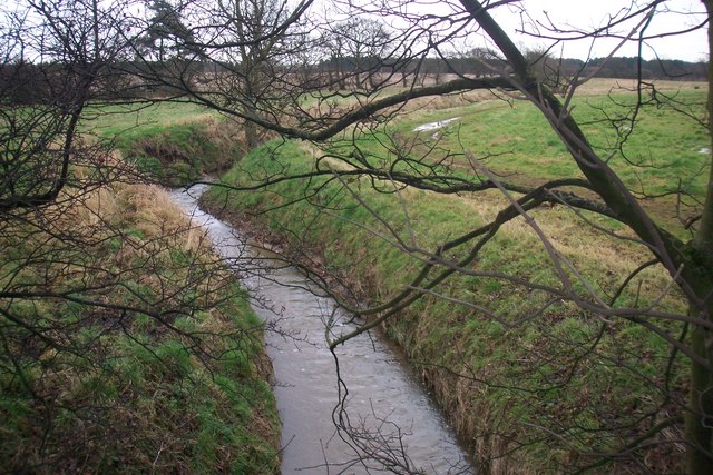 File:Brimmer Beck Looking East - geograph.org.uk - 662278.jpg