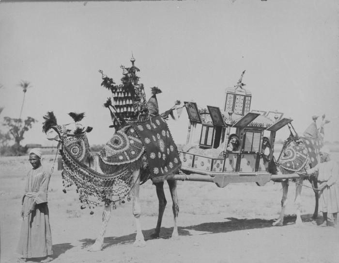 File:COLLECTIE TROPENMUSEUM Draagstoel met kamelen opgetuigd ter gelegenheid van een huwelijk TMnr 60048884.jpg