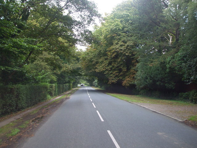 File:Cave Road, Elloughton - geograph.org.uk - 1466149.jpg