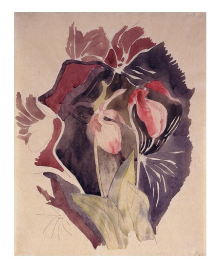 File:Demuth Charles Wild Orchids 1920.jpg