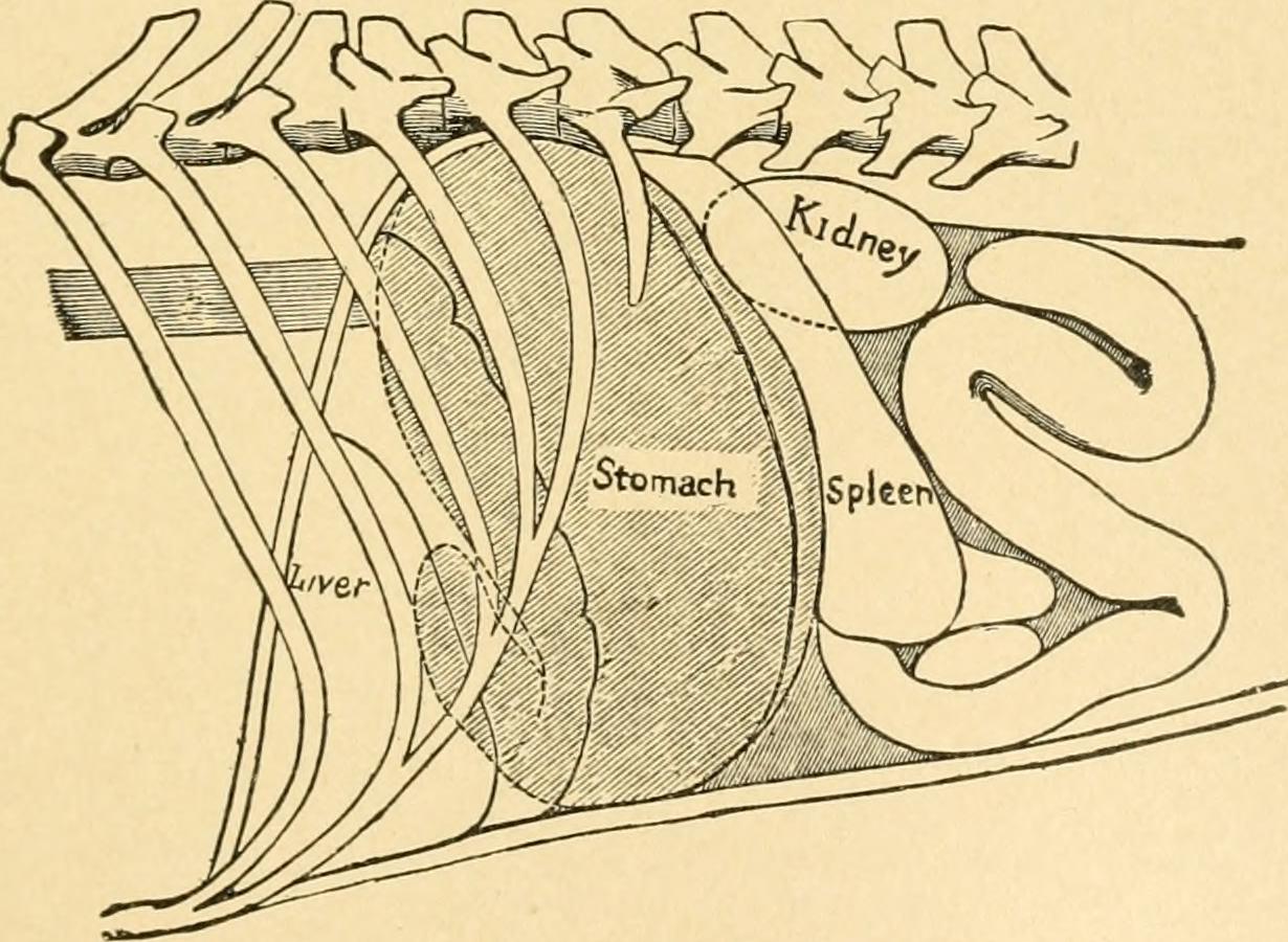 Eight position