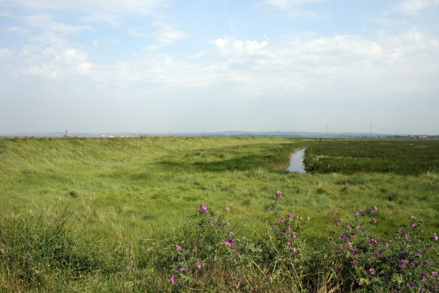 File:Drainage ditch near Oare Marshes Nature Reserve - geograph.org.uk - 471630.jpg