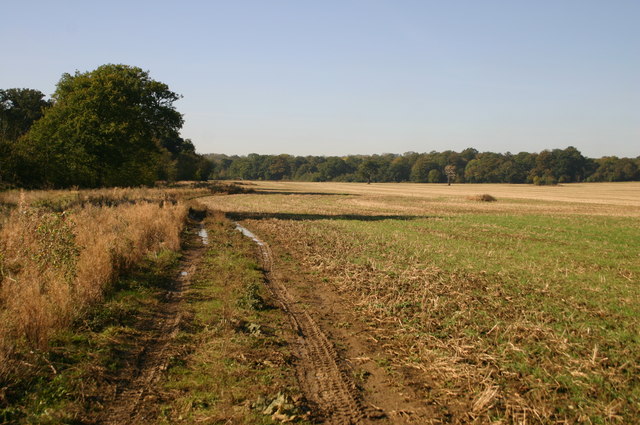 Footpath heading to Honeyhill Wood - geograph.org.uk - 588551