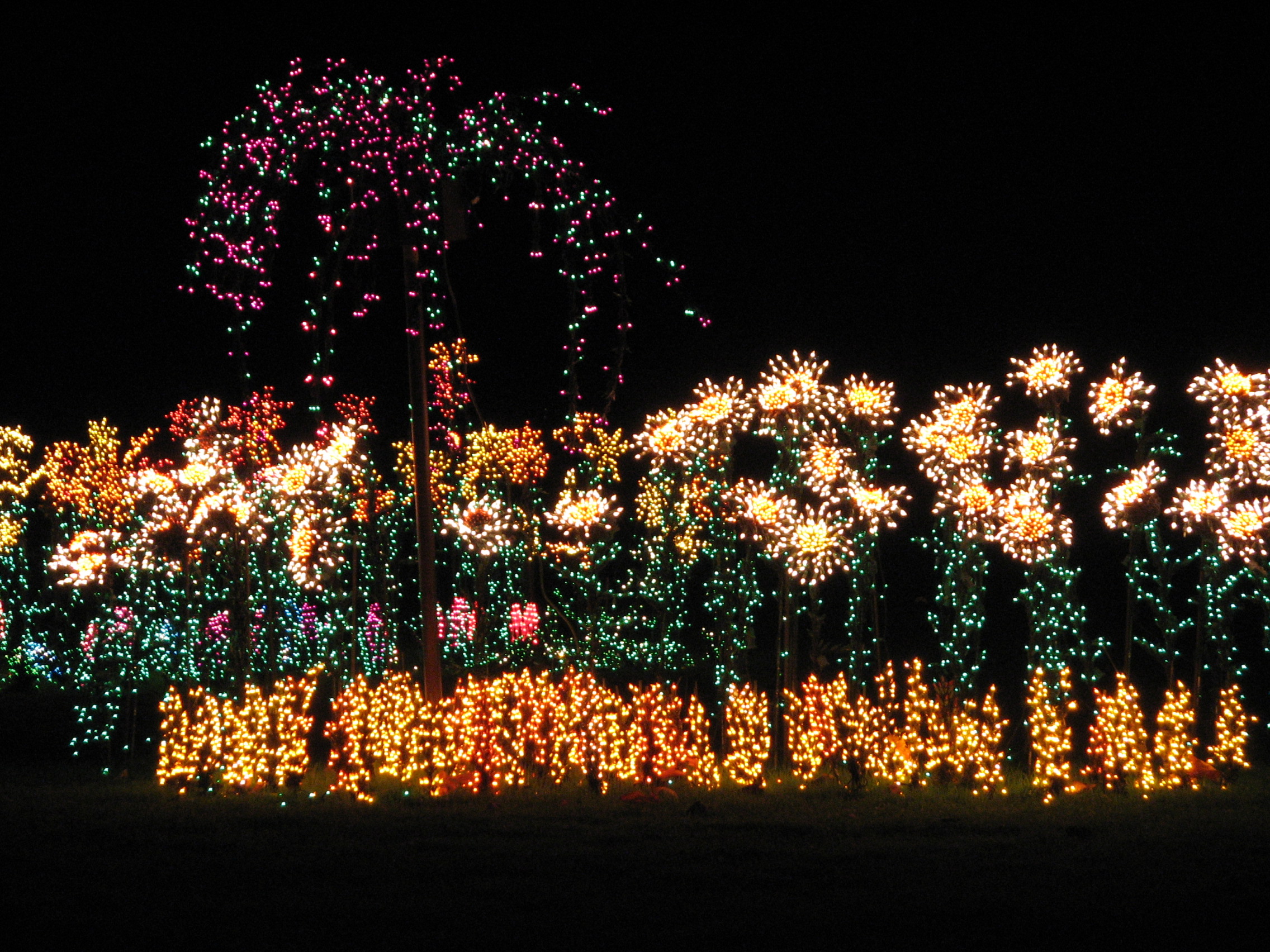 File Garden D Lights 2008 At The Bellevue Botanical Garden Img023